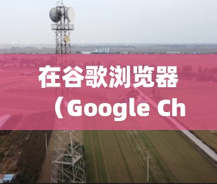 在谷歌浏览器（Google Chrome）中使用VPN主要涉及两种方式，安装VPN扩展程序 或 配置系统级VPN。以下是详细指南和注意事项