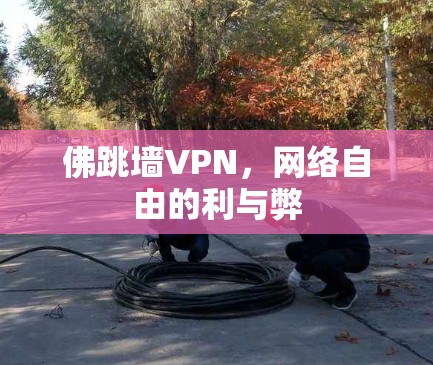 佛跳墙VPN，网络自由的利与弊
